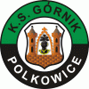 Logo klubu - Górnik Polkowice