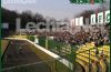 20050402lechia_turturek_57_20120704_1810557806