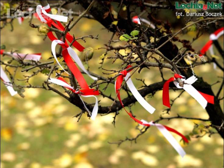 db117727_20121111_1753147958