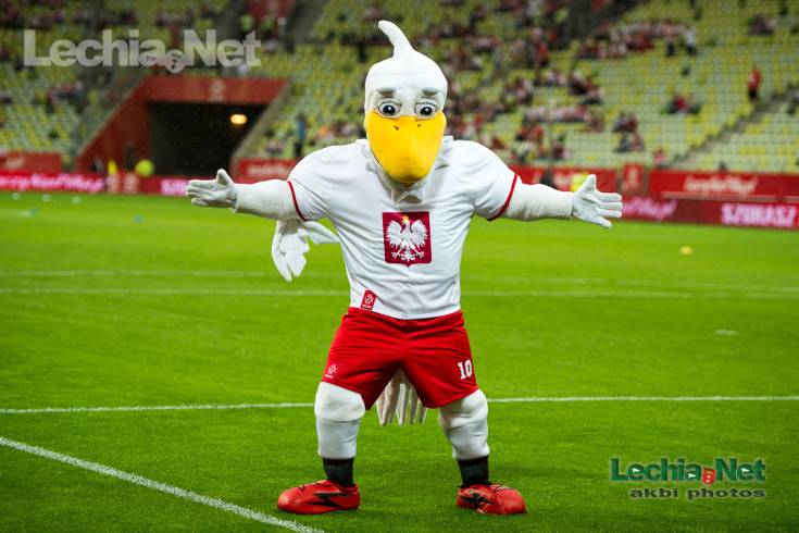 20160601_1938_004_20160601_1662535365