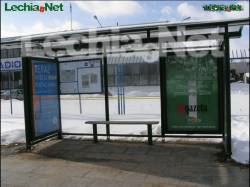lechia na bilbordach_1