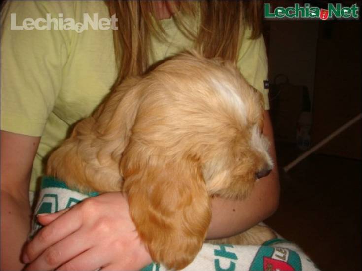 g_20140630_1386903909