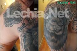 lwy_polnocy-jedno_zycie_jedna_milosc-_lg_20160222_1191542851