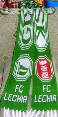 073fc_lech_20140629_1106332653