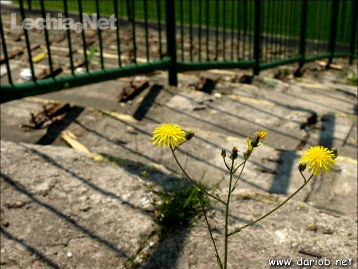 db29_20140629_1244588094