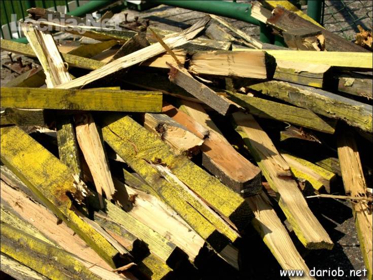 db29_20140629_1695087332