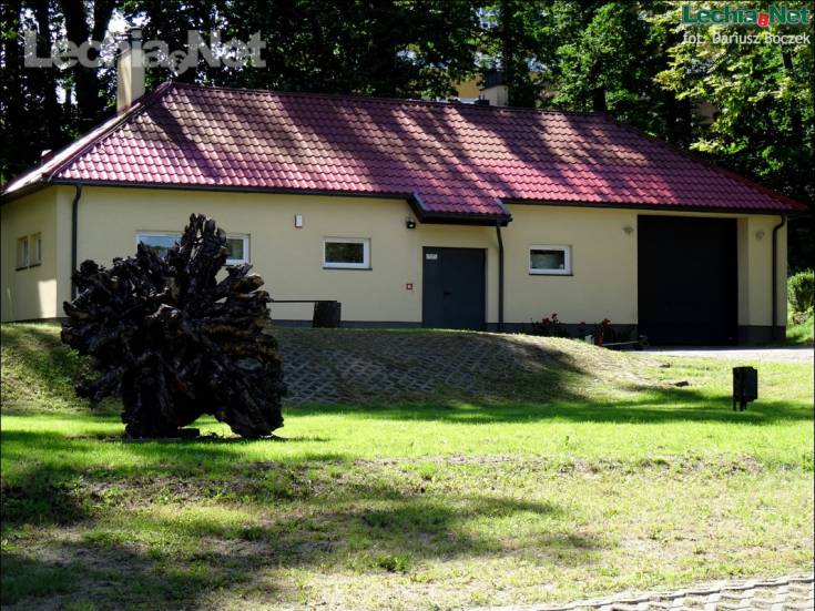 dsc02566_20170717_1809513845