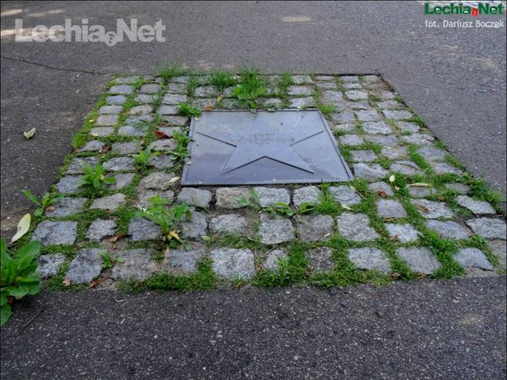 dsc02584_20170717_1155201724