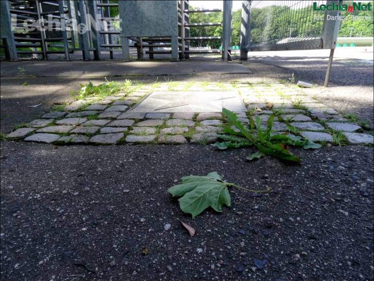 dsc02595_20170717_1331819334